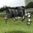 XSories Transformer Tripod