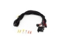 LAZER Linear 48 Elite - 9
