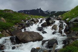 545.jpg