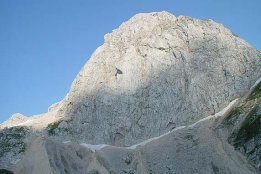 637.jpg