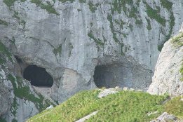658.jpg
