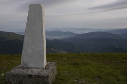 921.jpg