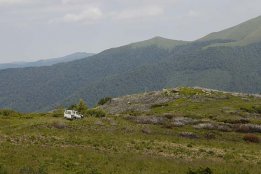934.jpg