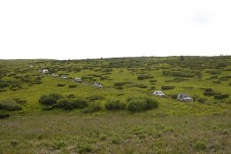 935.jpg