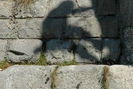 154.jpg