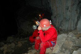 166.jpg