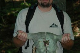 175.jpg