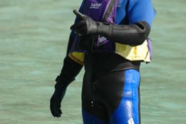 222.jpg