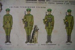 2932.jpg