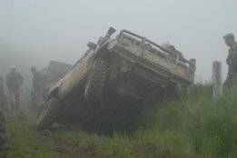 3165.jpg
