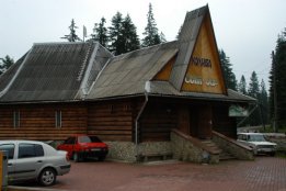 3196.jpg