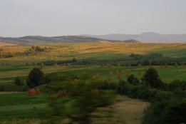 3205.jpg