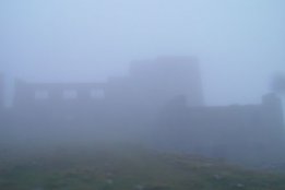 3293.jpg