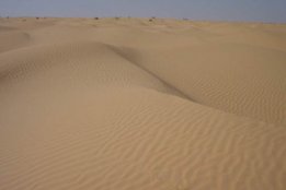 3536.jpg
