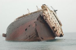 3591.jpg