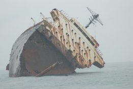 3594.jpg