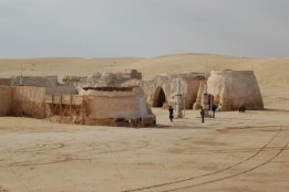 3722.jpg