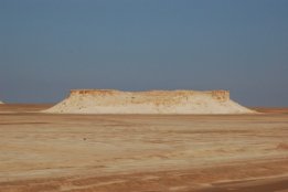 3754.jpg