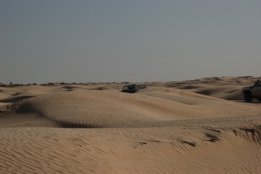 3769.jpg