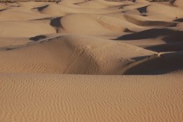 3786.jpg