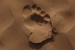 3846.jpg