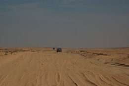 3859.jpg