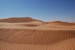3898.jpg