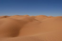 3918.jpg