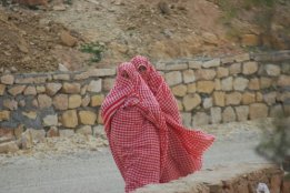 3970.jpg