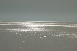 4074.jpg
