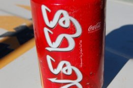 4109.jpg