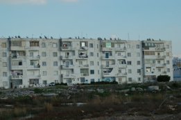 4137.jpg