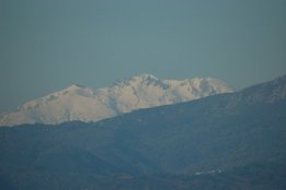 4150.jpg