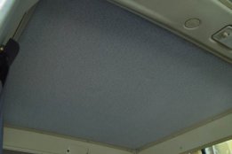 4451.jpg