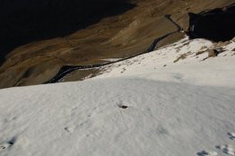 4575.jpg