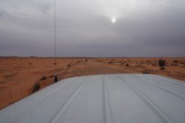 5639.jpg