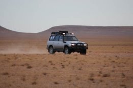 5641.jpg