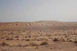 5646.jpg