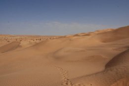 5655.jpg