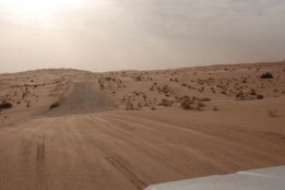 5679.jpg