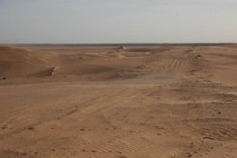 5685.jpg