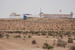 5763.jpg