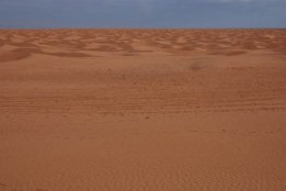 5769.jpg