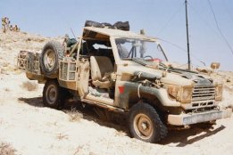5903.jpg