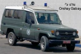 5915.jpg