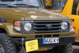 6247.jpg