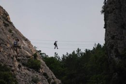 6419.jpg