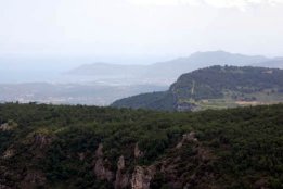 6515.jpg