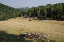 DSC_0057.jpg