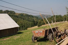 DSC_0064.jpg